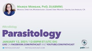 Parasitology  Dr Morgan Cedars Sinai MICROBIOLOGY [upl. by Livesay]