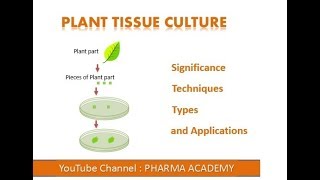 Plant Tissue Culture [upl. by Eiramesor]