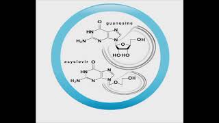 Antiviral animation Acyclovir [upl. by Ayrb]