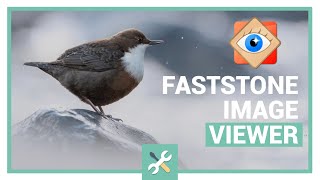 FastStone Image Viewer  la meilleure visionneuse photo Windows [upl. by Mauralia]