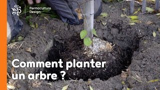 Comment planter un arbre [upl. by Odnalra]