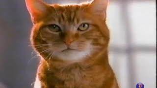 1993 Friskies Cat Food TV Commercial [upl. by Ingles]