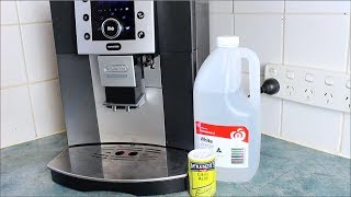 Homemade Coffee Descaler  How to video [upl. by Elay]