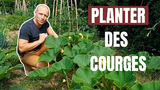 Tuto jardin  Comment planter des courges [upl. by Mcintosh231]