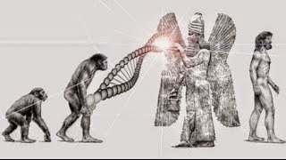 quotAnunnaki los caídos del cieloquot la película que muestra secretos del planeta [upl. by Eninaj]