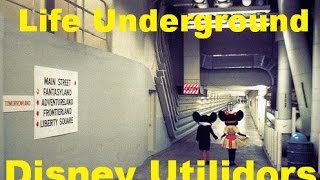 Life Underground at Magic Kingdom The Utilidors Ep 8 Confessions of a Theme Park Worker [upl. by Swanhilda412]