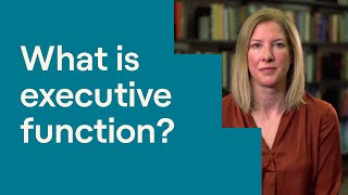 What Is Executive Function [upl. by Richia628]