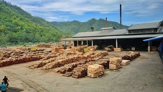 The Best Plywood Factory In Indonesia [upl. by Najar58]