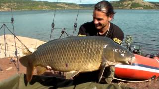 Big common carp Salagou  Raphaël Biagini [upl. by Hanus]