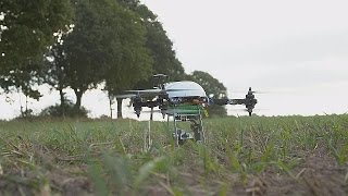 Technologie  des drones au service des agriculteurs  hitech [upl. by Onaled]