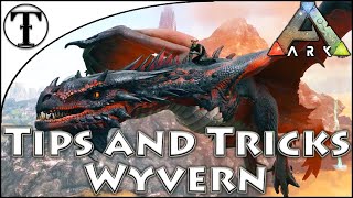 Fast Wyvern Taming Guide  Ark  Survival Evolved Tips and Ticks [upl. by Ruckman959]