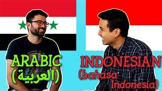 Similarities Between Arabic and Indonesian [upl. by Vogeley297]