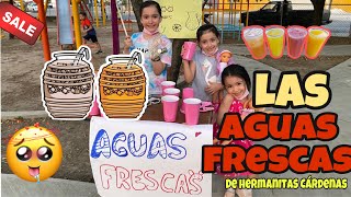 LAS AGUAS FRESCAS DE LAS HERMANITAS CARDENAS [upl. by Lapotin888]