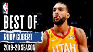 Rudy Gobert 201920 Full Season Highlights [upl. by Eelnayr]