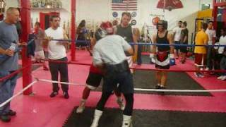 Boxing  Amateur vs Professional Sparring [upl. by Ahtelat]