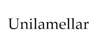 How to Pronounce Unilamellar [upl. by Oinotnanauj]