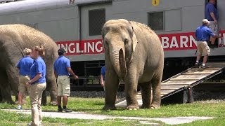 Ringling Brothers Circus Train and Animal Walk at Hershey [upl. by Durand]