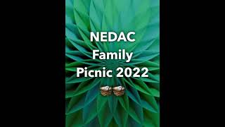 NEDAC Family Picnic 2022 [upl. by Marsden884]