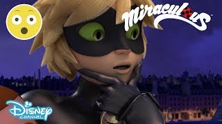 Miraculous Ladybug  Cat Noir Sees Marinette’s Transformation 😱  Disney Channel UK [upl. by Assereht]