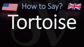 How to Pronounce Tortoise CORRECTLY [upl. by Fairman]