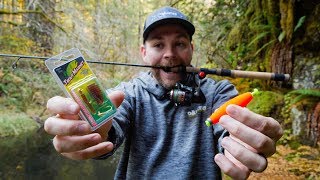 How To Fish TROUT MAGNETS In Creeks Or Rivers WE GOT A CUTTY [upl. by Wahs585]