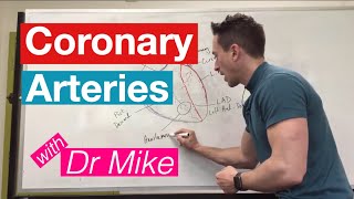 Coronary Arteries  Cardiology [upl. by Lyj]