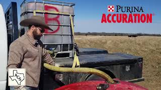 7 Benefits of Purina Accuration Liquid Feed [upl. by Seravaj]