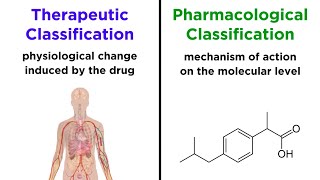 Categorizing Drugs Classes Names and Schedules [upl. by Annovahs]