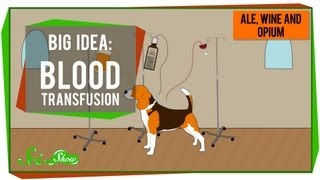 Big Idea Blood Transfusions [upl. by Bennet435]