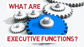 What are Executive Functions in Autism [upl. by Aerdnek]