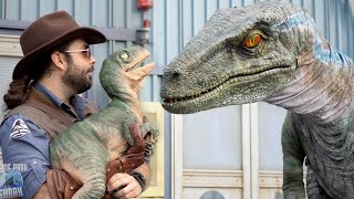 Jurassic World Raptor Experience Universal Studios [upl. by Ora]