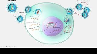 EXANIII  Microbiología  Curso Gratuito de Premedicina [upl. by Accire]