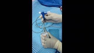 Transpulmonary thermodilution demonstration on PICCO device [upl. by O'Malley]