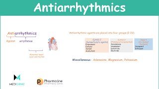 Antiarrhythmic Agents Pharmacology Classifications Examples and Notes [upl. by Nomit]