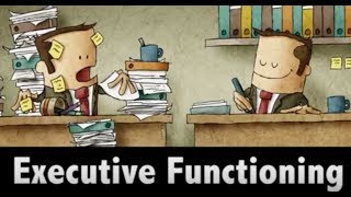 MIND MATTERS Executive Functioning [upl. by Sommer]