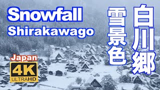 4K Snowfal of Shirakawago 白川郷の雪景色 2021 観光 日本の原風景 冬景色 降雪 Japan winter Snow scene 豪雪 観光 旅行 [upl. by Ydollem]