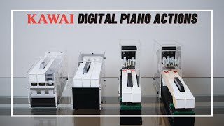 Kawai Digital Piano Action Comparison Key Touch Weighted Keys [upl. by Schild]