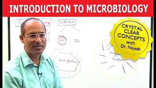 Introduction to Microbiology [upl. by Collayer]