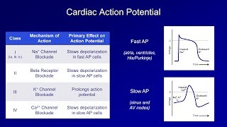 Antiarrhythmics Lesson 1  An Introduction [upl. by Yrolg]