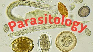 Introduction of Parasitology  Type of parasites and Host [upl. by Jennee]