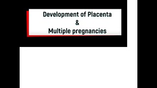 Development of Placenta and Multiple pregnancies [upl. by Marga521]