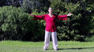 Tai Chi 5 Minutes a Day Module 04  Cloud Hands  Single Whip  Snake Creeps down [upl. by Akinuahs]