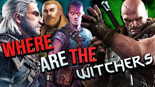 The Witchers Where Are They All  The Witcher 3 Explained [upl. by Jen860]