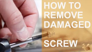 How to Use a Screw Extractor  The proper way [upl. by Annaeed464]