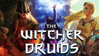 What Are Druids  Witcher Lore  Witcher Mythology  Witcher 3 Lore [upl. by Harald878]