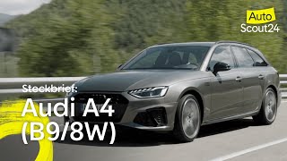 Steckbrief Audi A4 B98W [upl. by Adle]