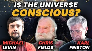 Levin Λ Friston Λ Fields quotMetaquot Hard Problem of Consciousness [upl. by Key]