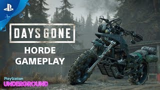 Days Gone  Horde Gameplay  PlayStation Underground [upl. by Hassin850]