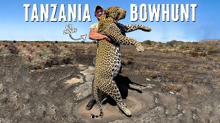 BOWHUNTING A MONSTER Leopard In Tanzania 2024 [upl. by Adnohs]