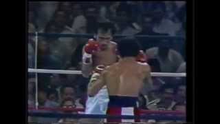 Wilfredo Gomez vs Carlos Zarate full fight HD [upl. by Ylenats]